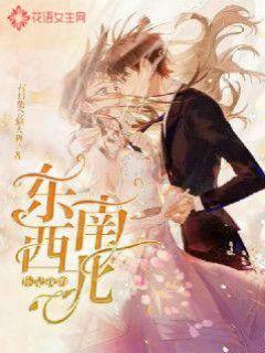 蒸汽时代的公主
